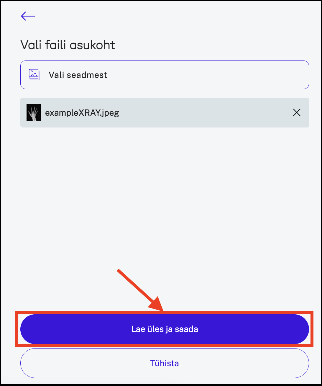 EE upload and scan.png